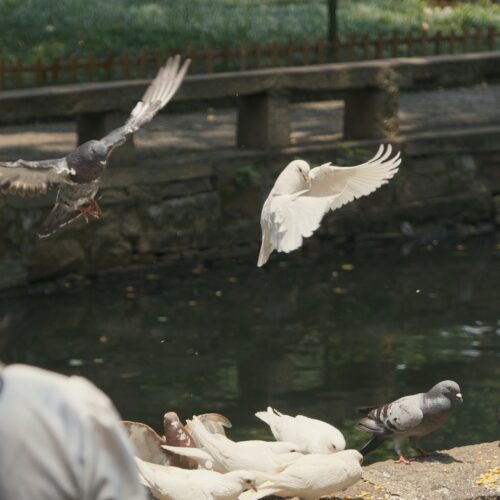Suzhou IFS
